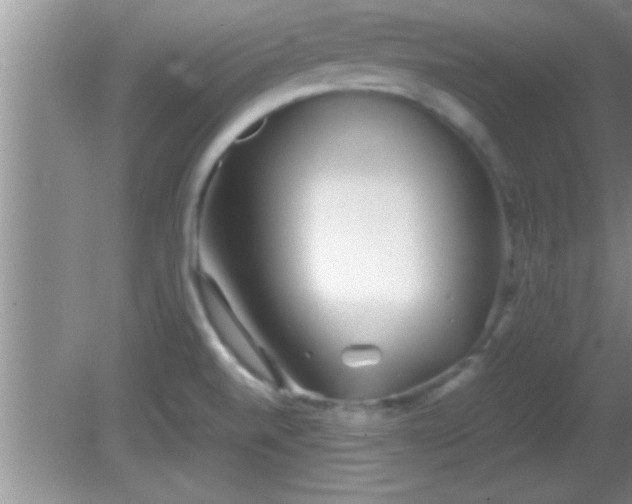 X0000081611520200701221149