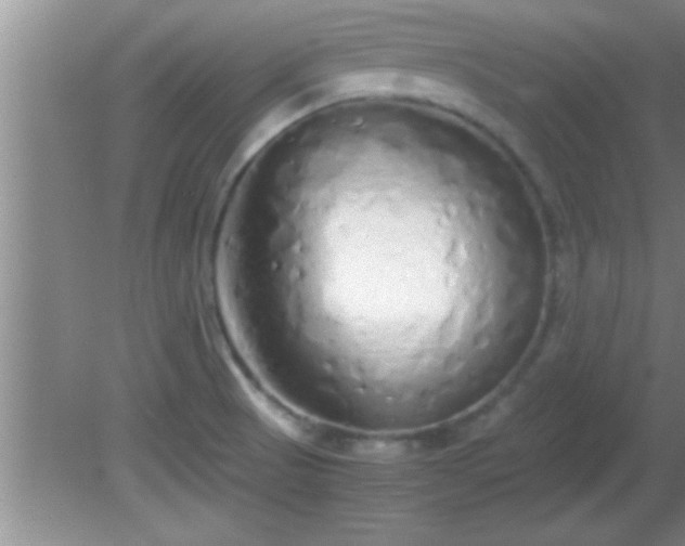 X0000081611521200701221149