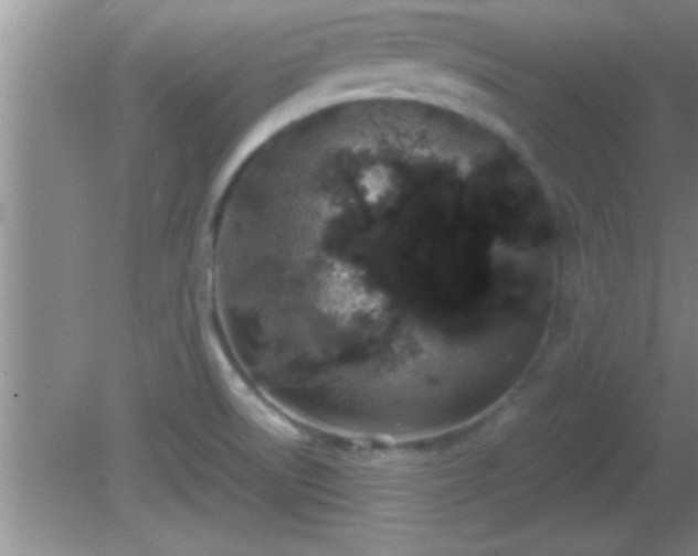 X0000081611522200701221149