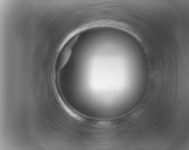 X0000081611523200701221149