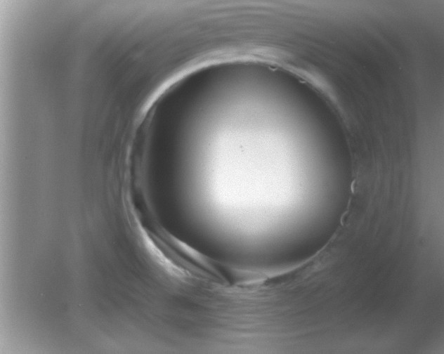 X0000081611524200701221149