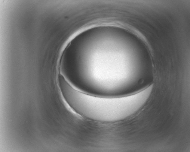 X0000081611528200701221149