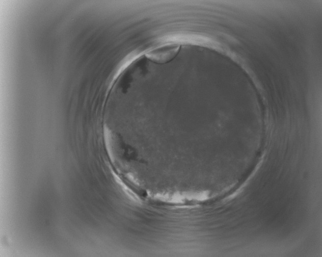 X0000081611529200701221149