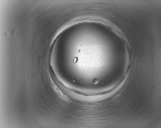 X0000081611530200701221149