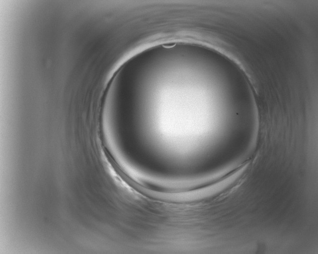 X0000081611534200701221149