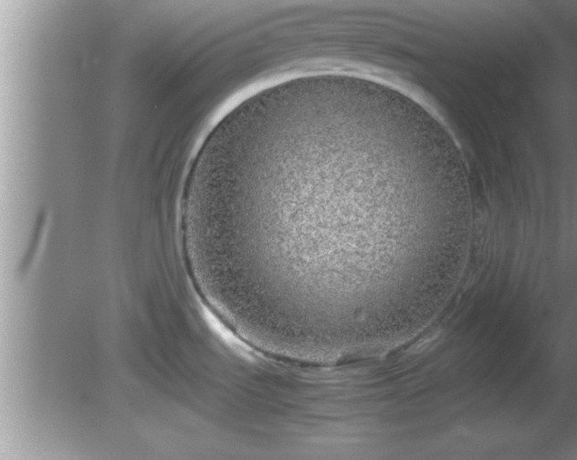 X0000081611535200701221149