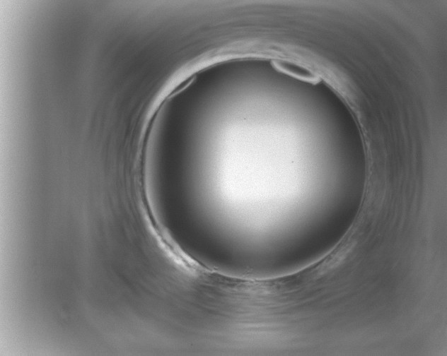 X0000081611536200701221149