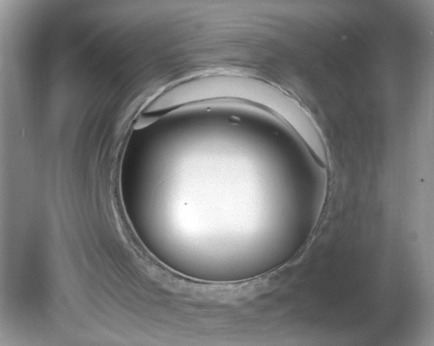 X0000081610001200701291439