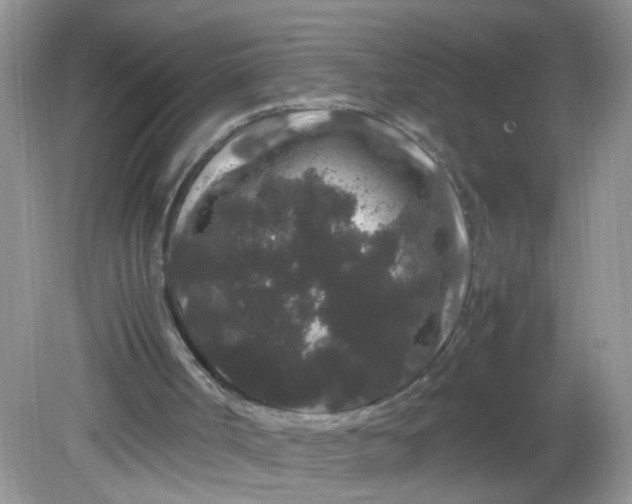 X0000081610002200701291439