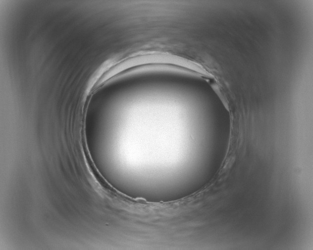 X0000081610003200701291439