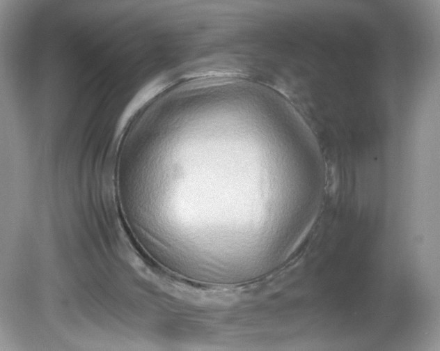 X0000081610004200701291439