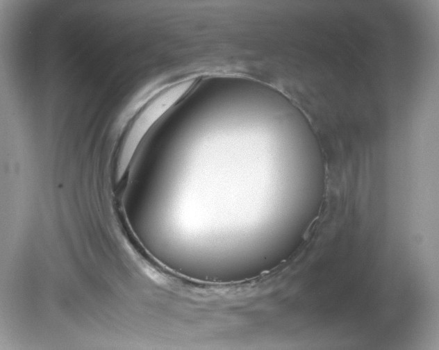 X0000081610005200701291439