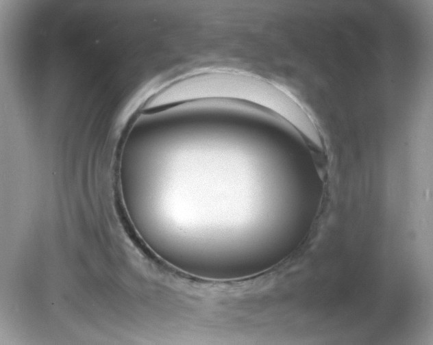 X0000081610007200701291439