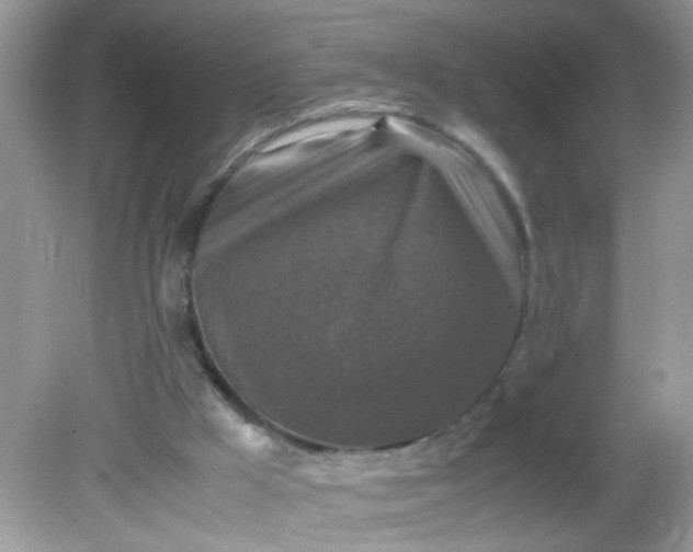 X0000081610009200701291439