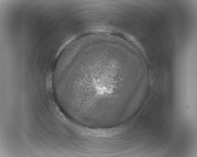 X0000081610010200701291439