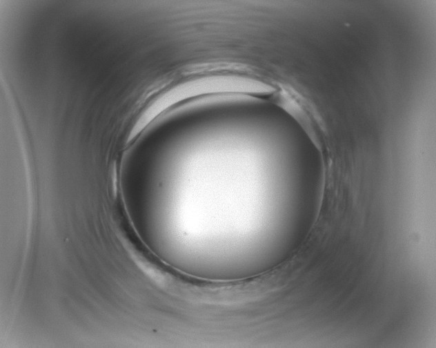 X0000081610013200701291439