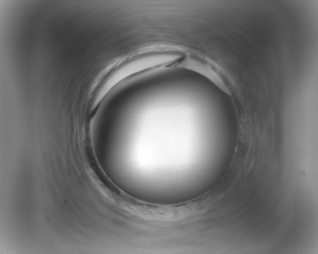 X0000081610015200701291439