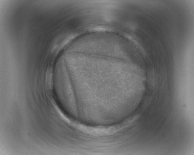 X0000081610016200701291439