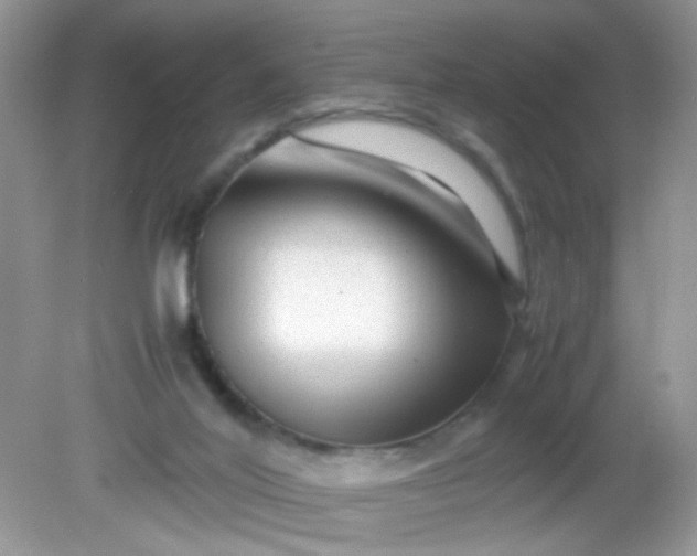 X0000081610020200701291439