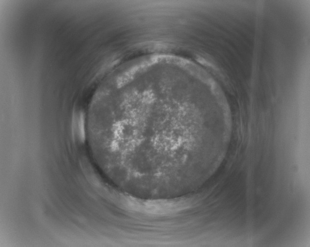 X0000081610022200701291439