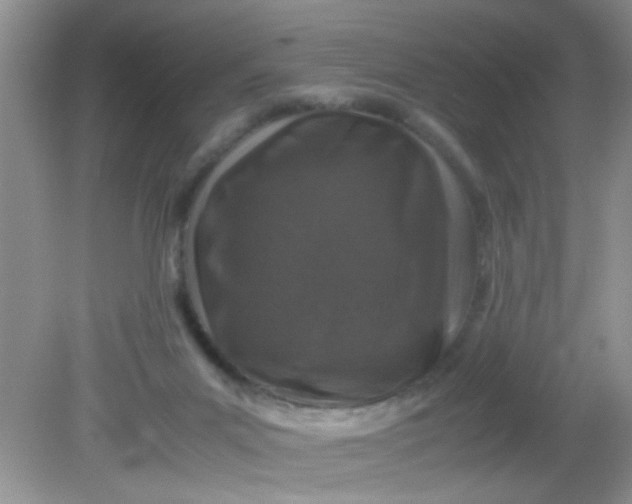 X0000081610023200701291439