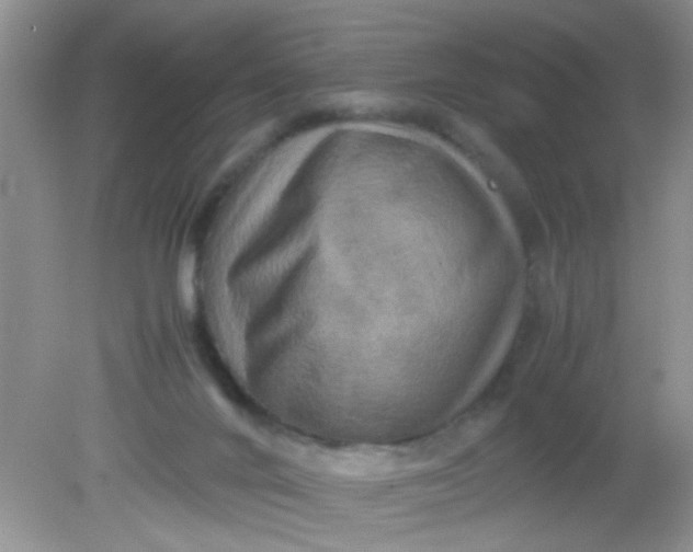 X0000081610024200701291439