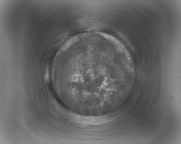 X0000081610026200701291439