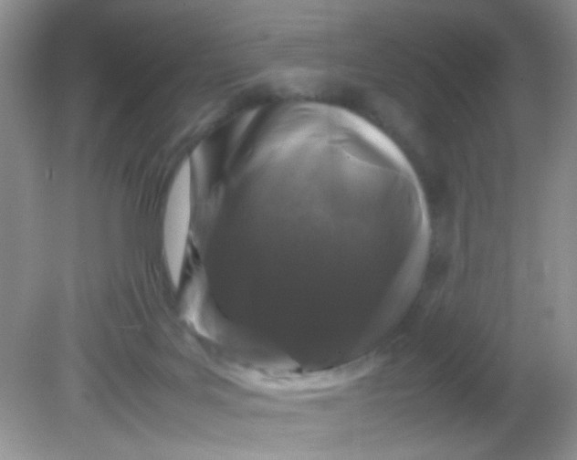 X0000081610027200701291439