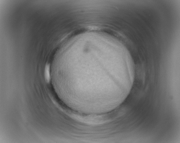 X0000081610028200701291439