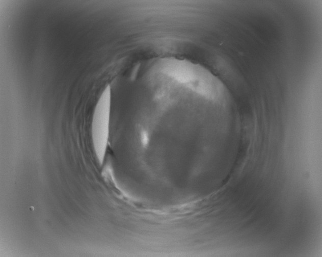 X0000081610029200701291439