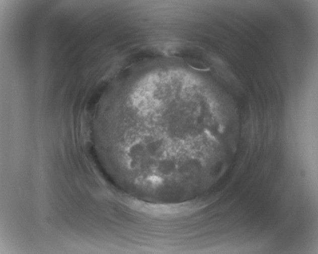 X0000081610030200701291438