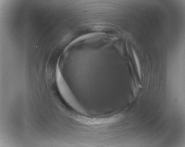 X0000081610031200701291438