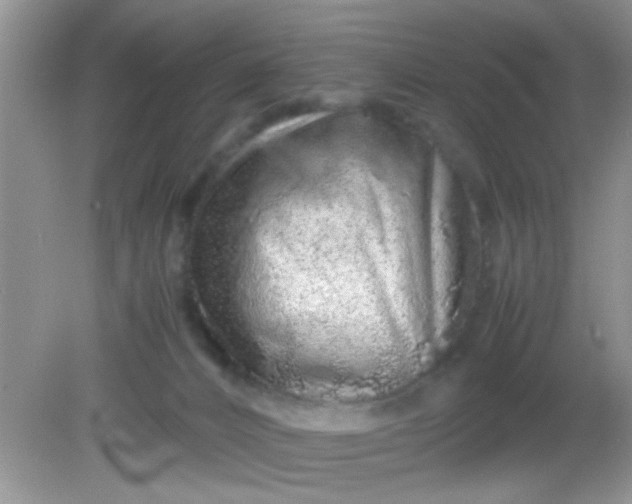 X0000081610032200701291438