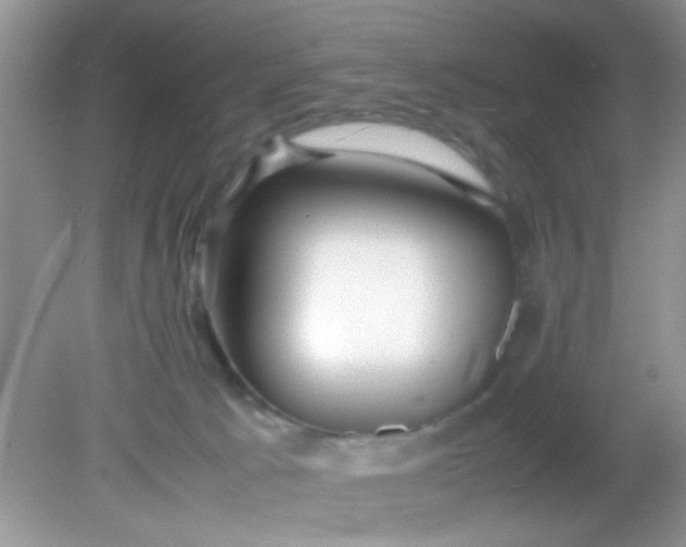 X0000081610033200701291438