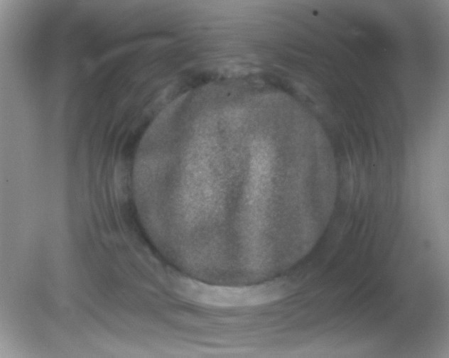 X0000081610034200701291438