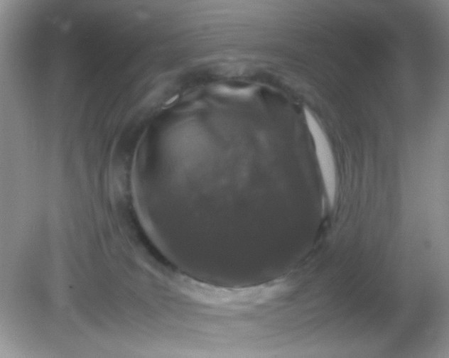 X0000081610035200701291438