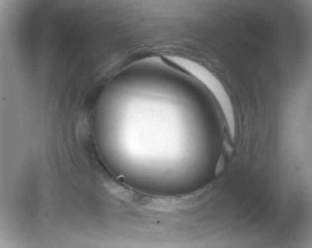 X0000081610037200701291438