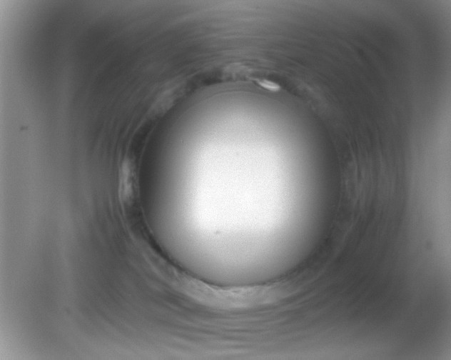 X0000081610038200701291438