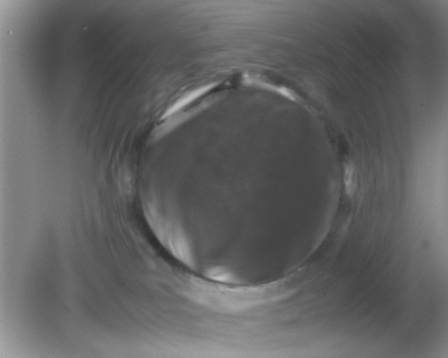 X0000081610039200701291438