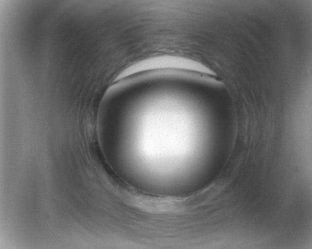 X0000081610040200701291438