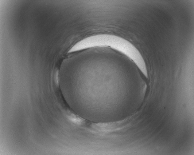 X0000081610041200701291438