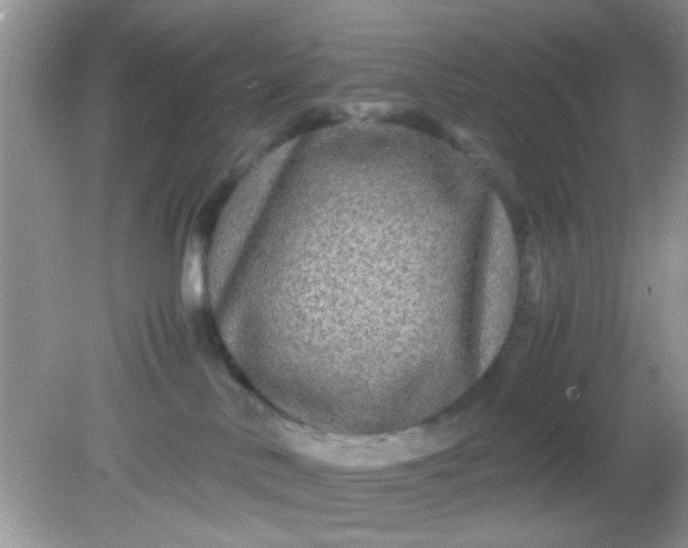 X0000081610042200701291438