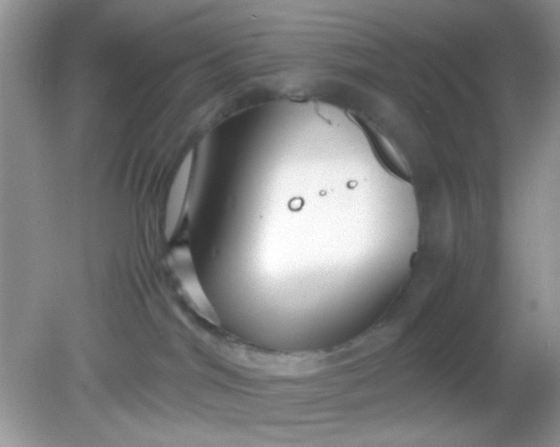 X0000081610044200701291438