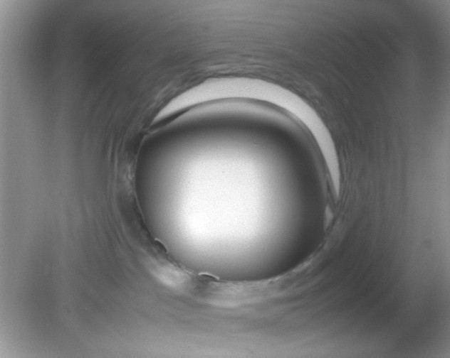 X0000081610045200701291438