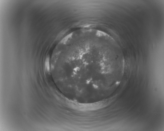 X0000081610046200701291438