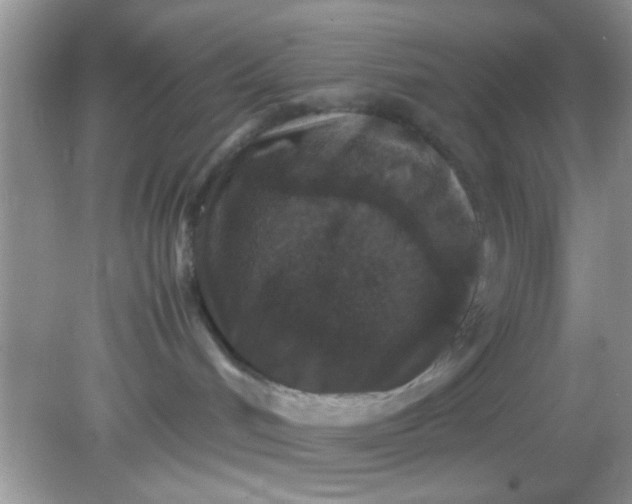 X0000081610048200701291438