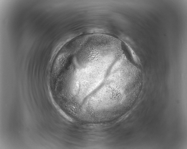 X0000081610049200701291437