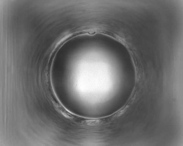 X0000081610050200701291437