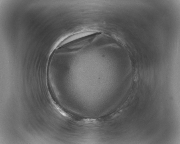 X0000081610052200701291437