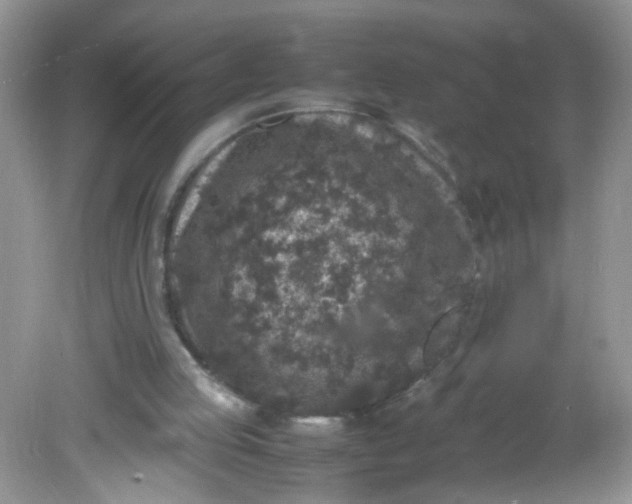 X0000081610053200701291437